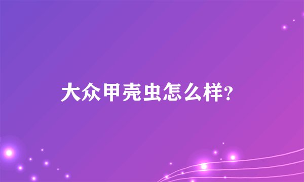 大众甲壳虫怎么样？