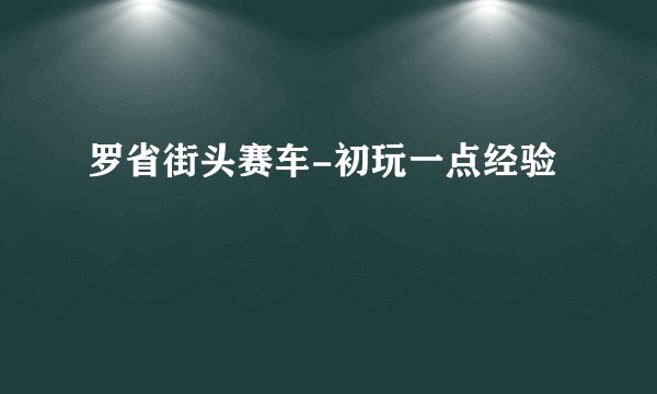 罗省街头赛车-初玩一点经验