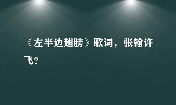 《左半边翅膀》歌词,张翰许飞?