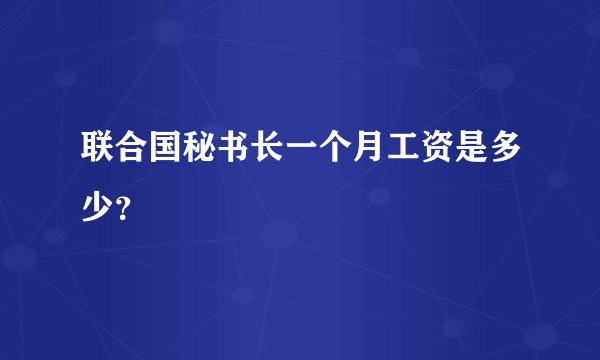 联合国秘书长一个月工资是多少？