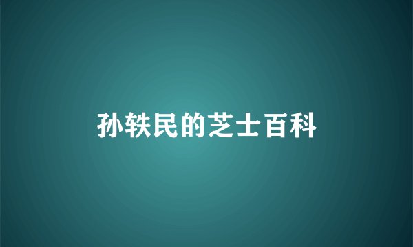 孙轶民的芝士百科