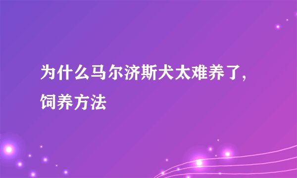 为什么马尔济斯犬太难养了,饲养方法