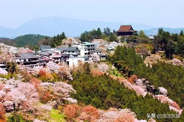 奈良的旅游成本大概是多少?如何规划?