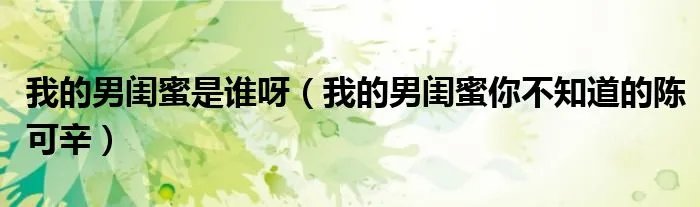 我的男闺蜜是谁呀（我的男闺蜜你不知道的陈可辛）