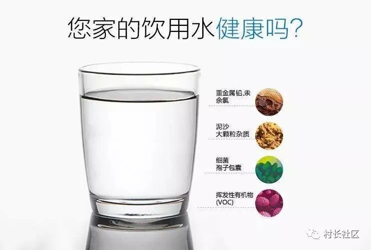 自来水不敢直接喝的举手!
