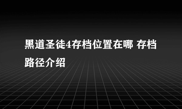 黑道圣徒4存档位置在哪 存档路径介绍