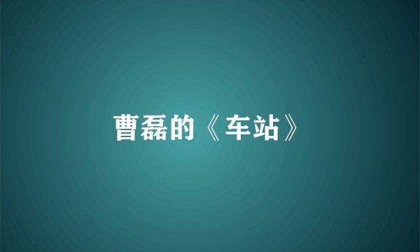 曹磊的《车站》