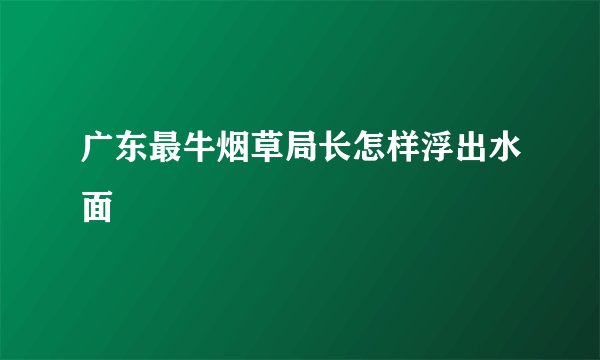 广东最牛烟草局长怎样浮出水面