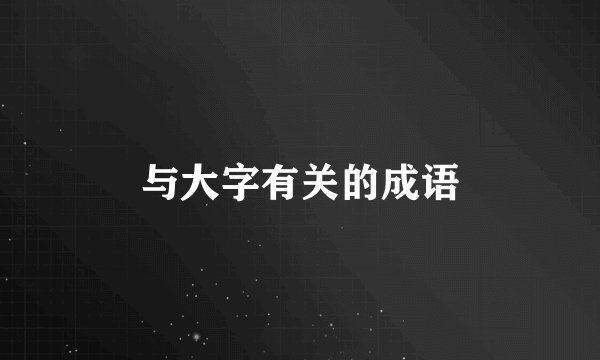 与大字有关的成语