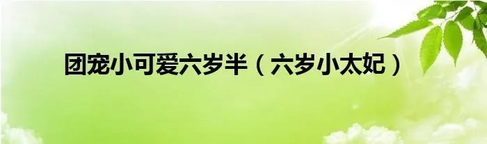 团宠小可爱六岁半（六岁小太妃）