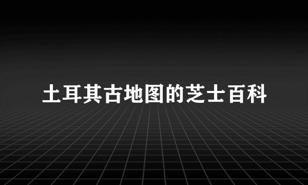 土耳其古地图的芝士百科
