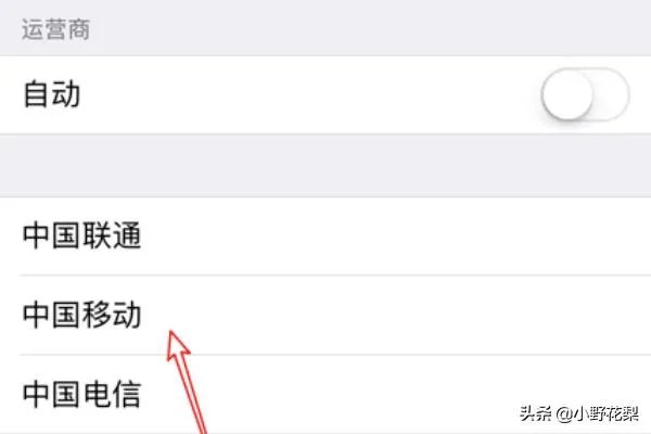 iphone怎么改运营商?