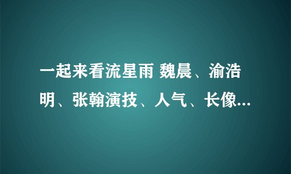 一起来看流星雨 魏晨、渝浩明、张翰演技、人气、长像全能大PK