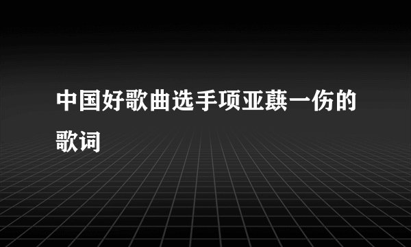 中国好歌曲选手项亚蕻一伤的歌词