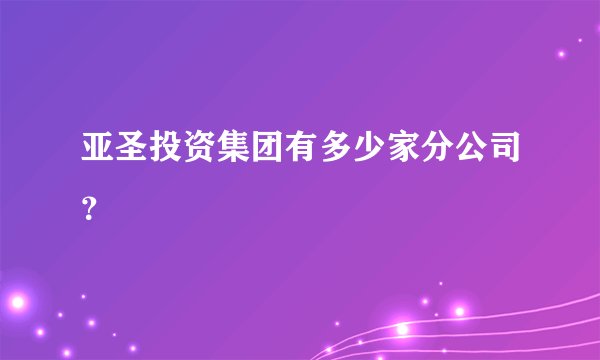 亚圣投资集团有多少家分公司？