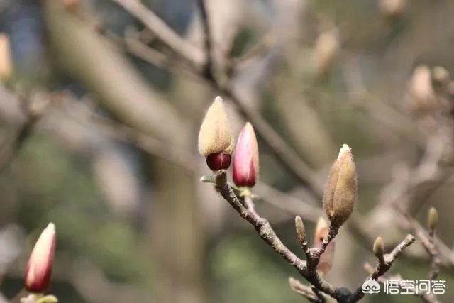 摄影技术提高靠什么,是交流还是看书?