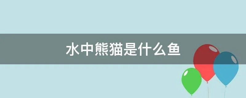 水中熊猫是什么鱼