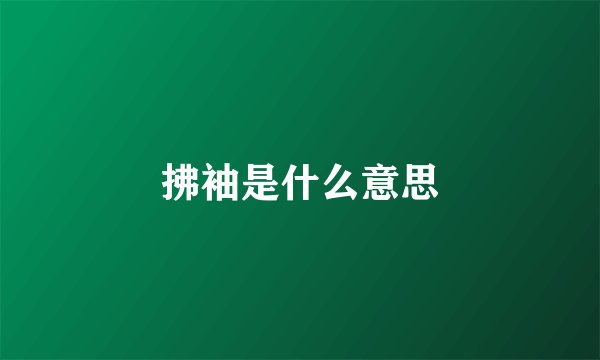 拂袖是什么意思