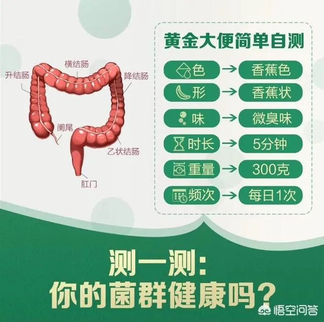 你们买益生菌的话都是买什么品牌的?