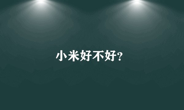 小米好不好？