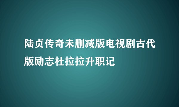 陆贞传奇未删减版电视剧古代版励志杜拉拉升职记
