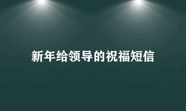 新年给领导的祝福短信