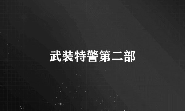 武装特警第二部