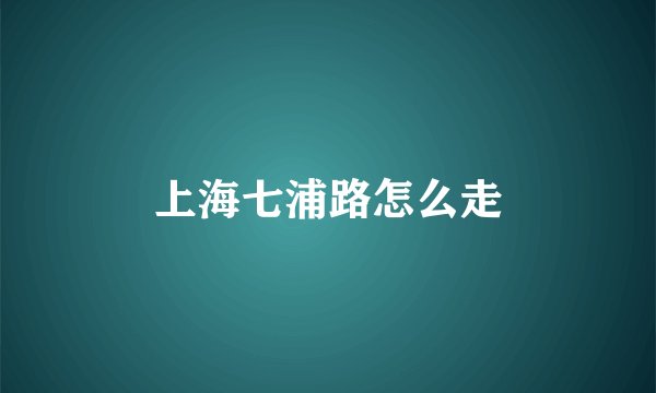 上海七浦路怎么走