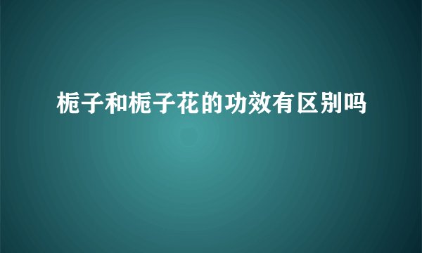 栀子和栀子花的功效有区别吗