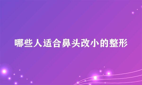 哪些人适合鼻头改小的整形