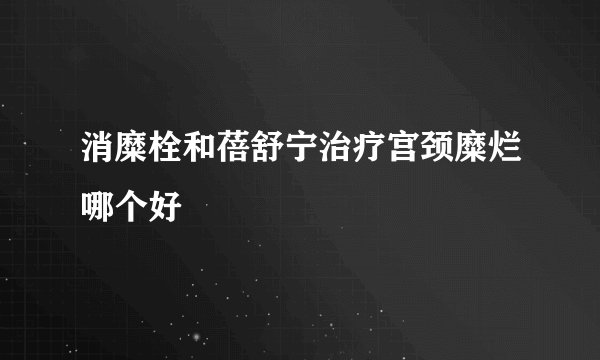消糜栓和蓓舒宁治疗宫颈糜烂哪个好