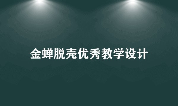 金蝉脱壳优秀教学设计