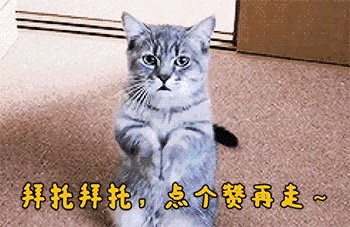 亚冠淘汰赛中上港客战鹿岛鹿角,联赛伤退的胡尔克出乎意料随队出征,他能出场比赛吗?