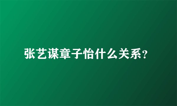 张艺谋章子怡什么关系？