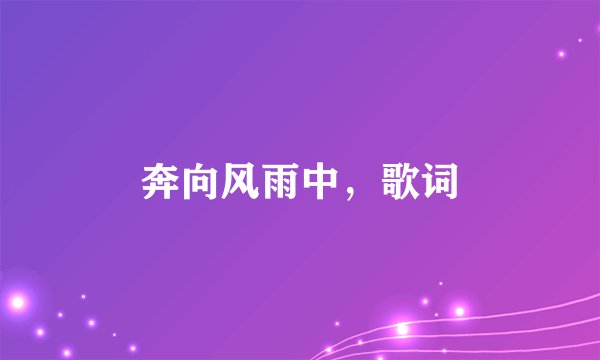 奔向风雨中,歌词