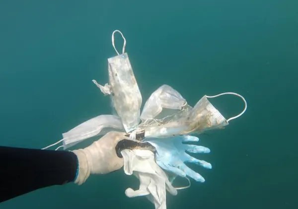 去年超15亿只废弃口罩流入海洋，给海洋生物造成了怎样的毁灭性伤害？