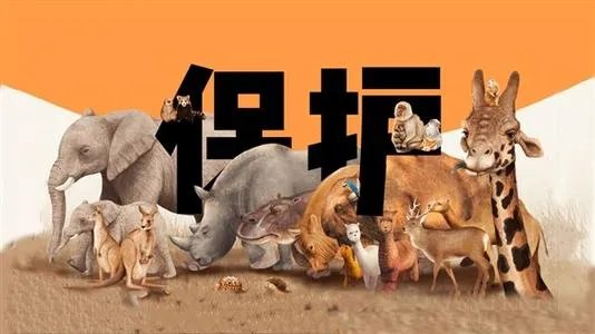 出国务工拾虎骨带回国内获刑5年是怎么回事?