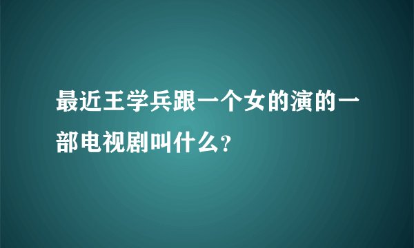 最近王学兵跟一个女的演的一部电视剧叫什么？