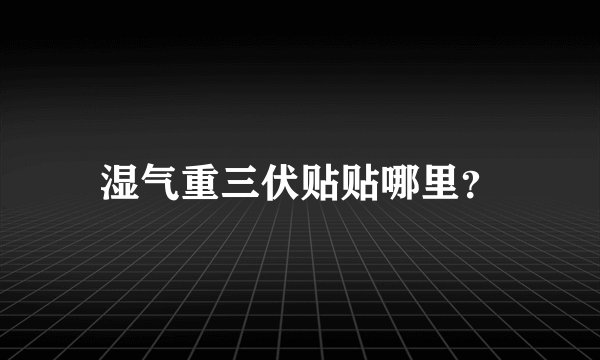 湿气重三伏贴贴哪里？