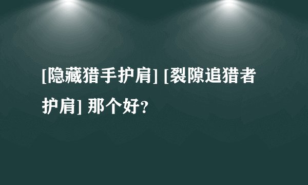 [隐藏猎手护肩] [裂隙追猎者护肩] 那个好？