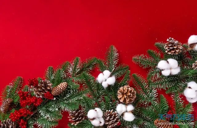 12月24日是什么节日？