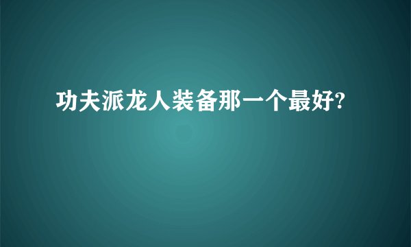 功夫派龙人装备那一个最好?