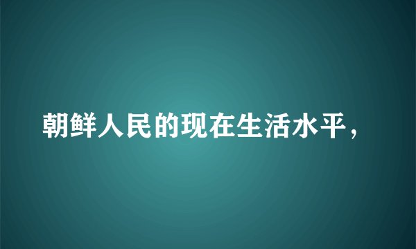 朝鲜人民的现在生活水平，