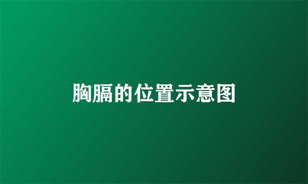 胸膈的位置示意图