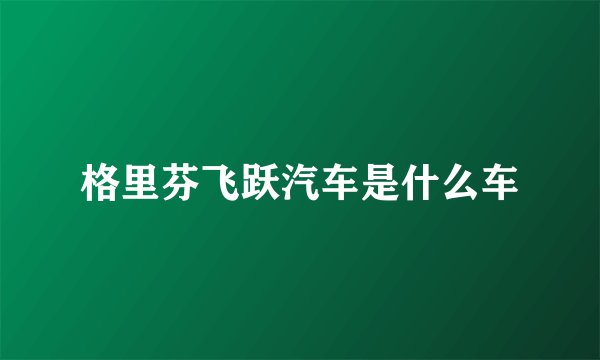 格里芬飞跃汽车是什么车