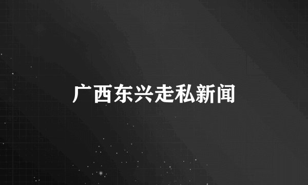 广西东兴走私新闻