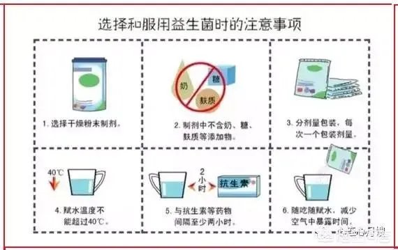 你们买益生菌的话都是买什么品牌的?