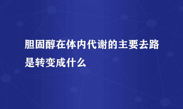 胆固醇在体内代谢的主要去路是转变成什么