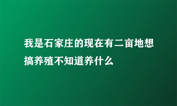 我是石家庄的现在有二亩地想搞养殖不知道养什么