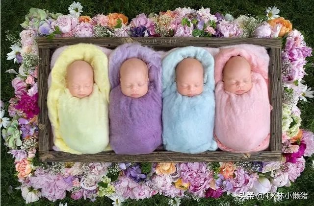 深圳宝妈生下双龙双凤四胞胎,已顺利出院,怀上多胞胎的原因是什么?